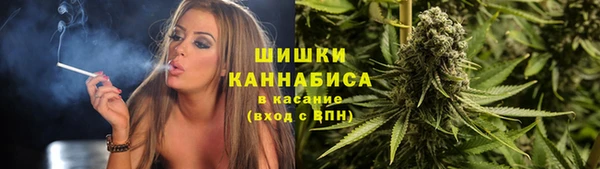 твердый Гусь-Хрустальный