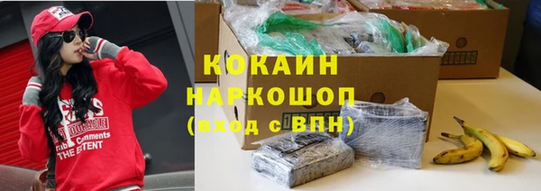 твердый Гусь-Хрустальный