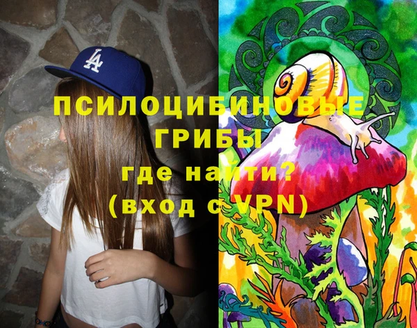 твердый Гусь-Хрустальный