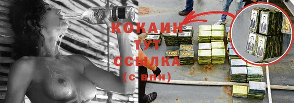 твердый Гусь-Хрустальный