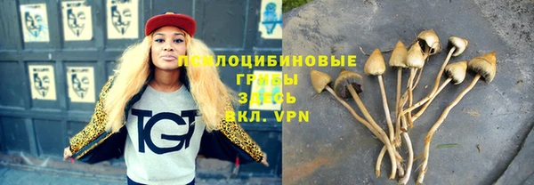 не бодяженный Гусиноозёрск