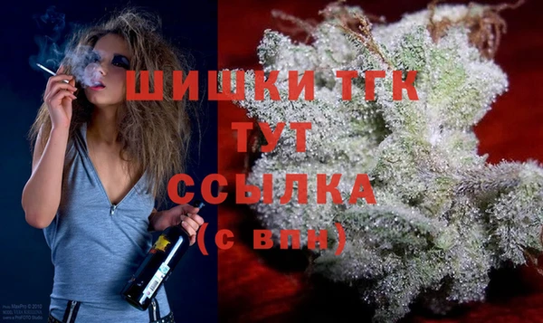твердый Гусь-Хрустальный
