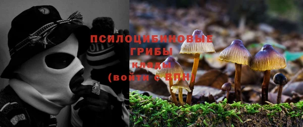 mdma Гусев