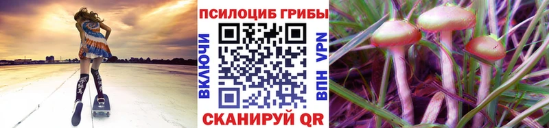 Купить где Боровск Псилоцибиновые грибы прущие грибы